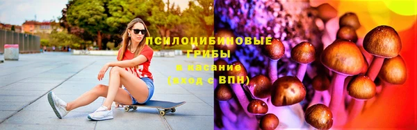 хмурый Алексин