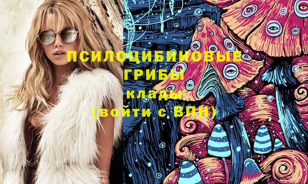хмурый Алексин