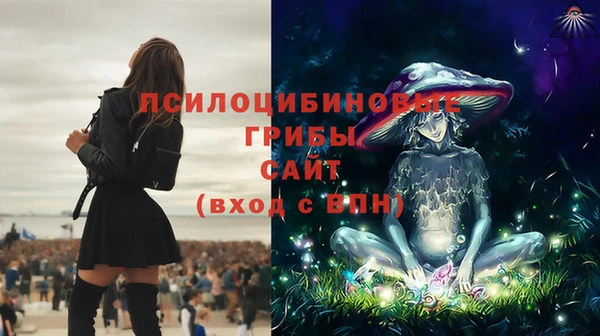 героин Алзамай