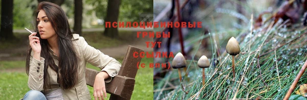 хмурый Алексин