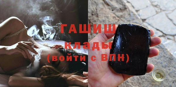 хмурый Алексин