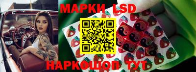 гидра Камышлов