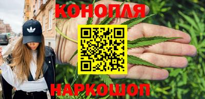 сатива Канаш