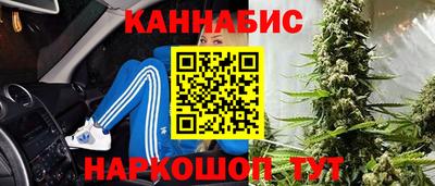 сатива Канаш