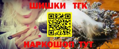 СК Пенза