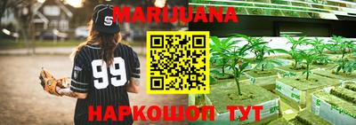Альфа ПВП Кандалакша