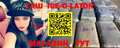 гидра Камышлов