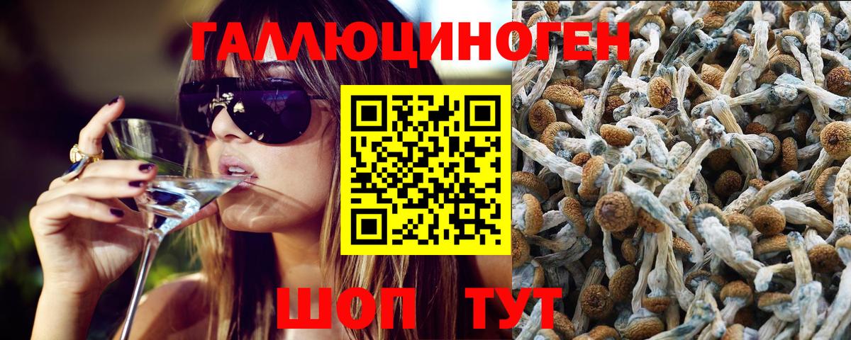 Фролово  Галлюциногенные грибы GOLDEN TEACHER  Вход с VPN 