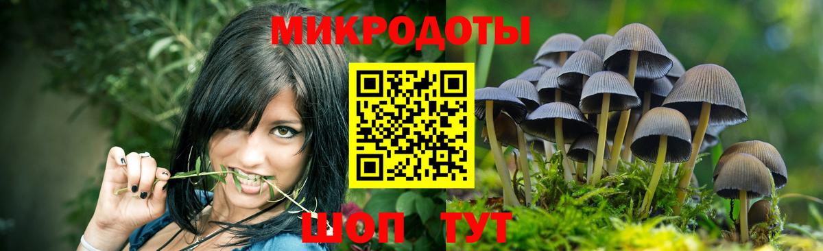 Галлюциногенные грибы мухоморы Фролово